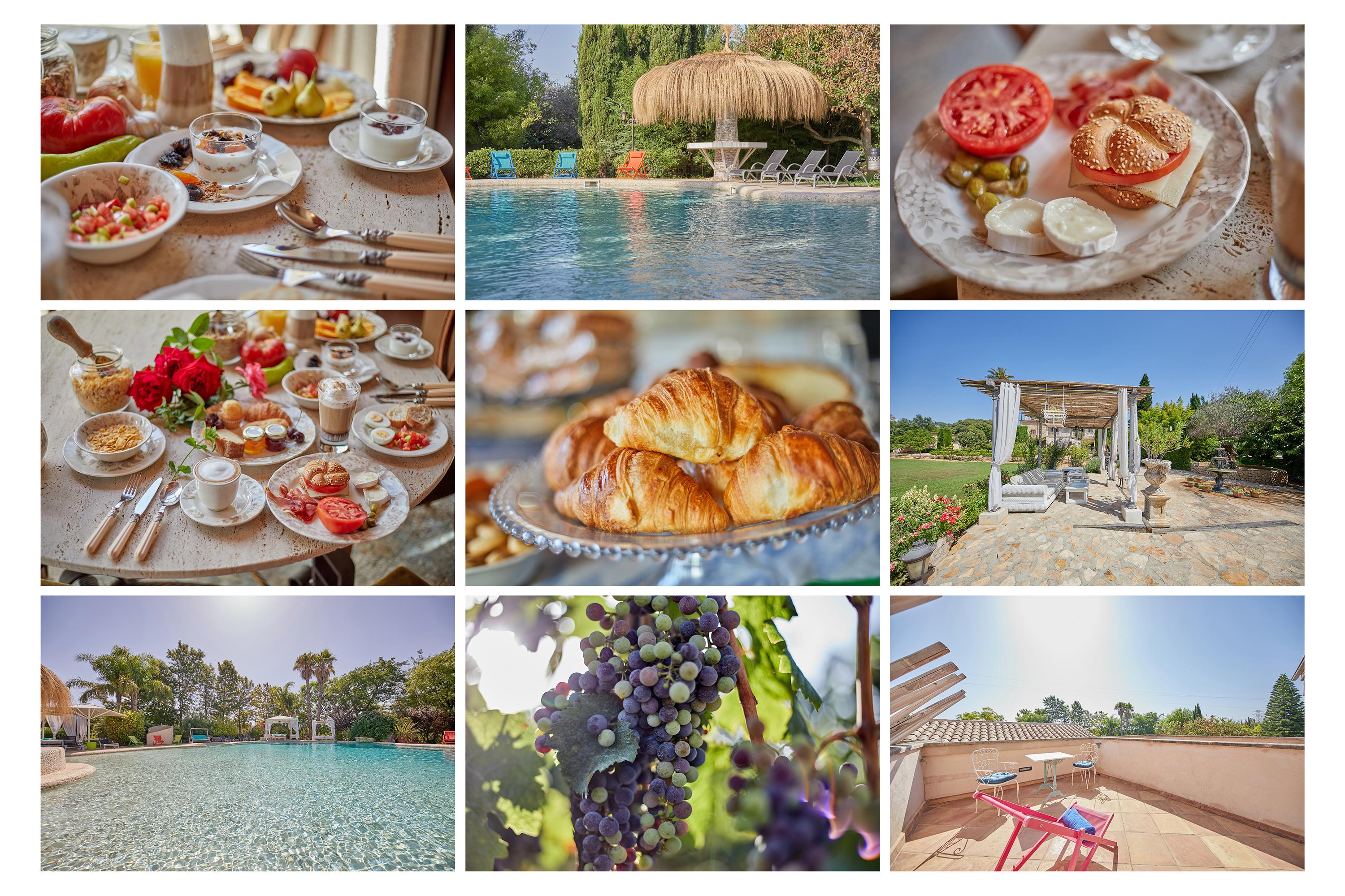 Agroturismo Sa Vinya Des Convent Inca (Mallorca)