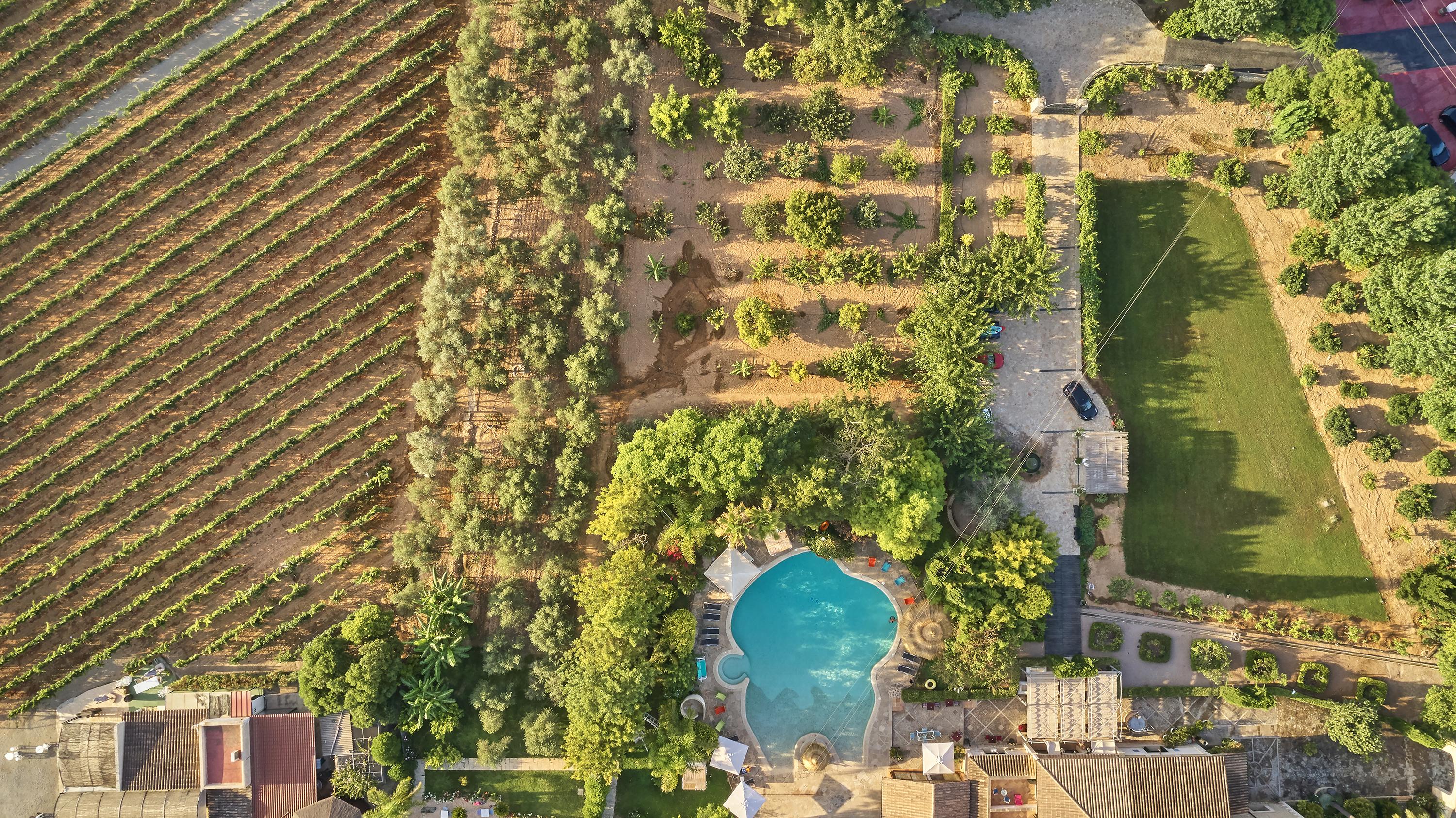 Agroturismo Sa Vinya Des Convent *