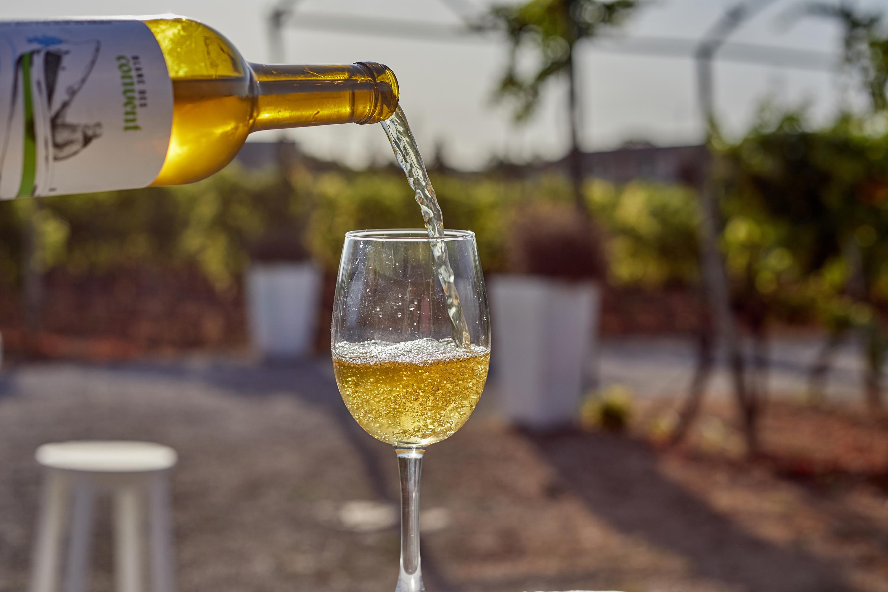 Farm stay Agroturismo Sa Vinya Des Convent Inca (Mallorca)