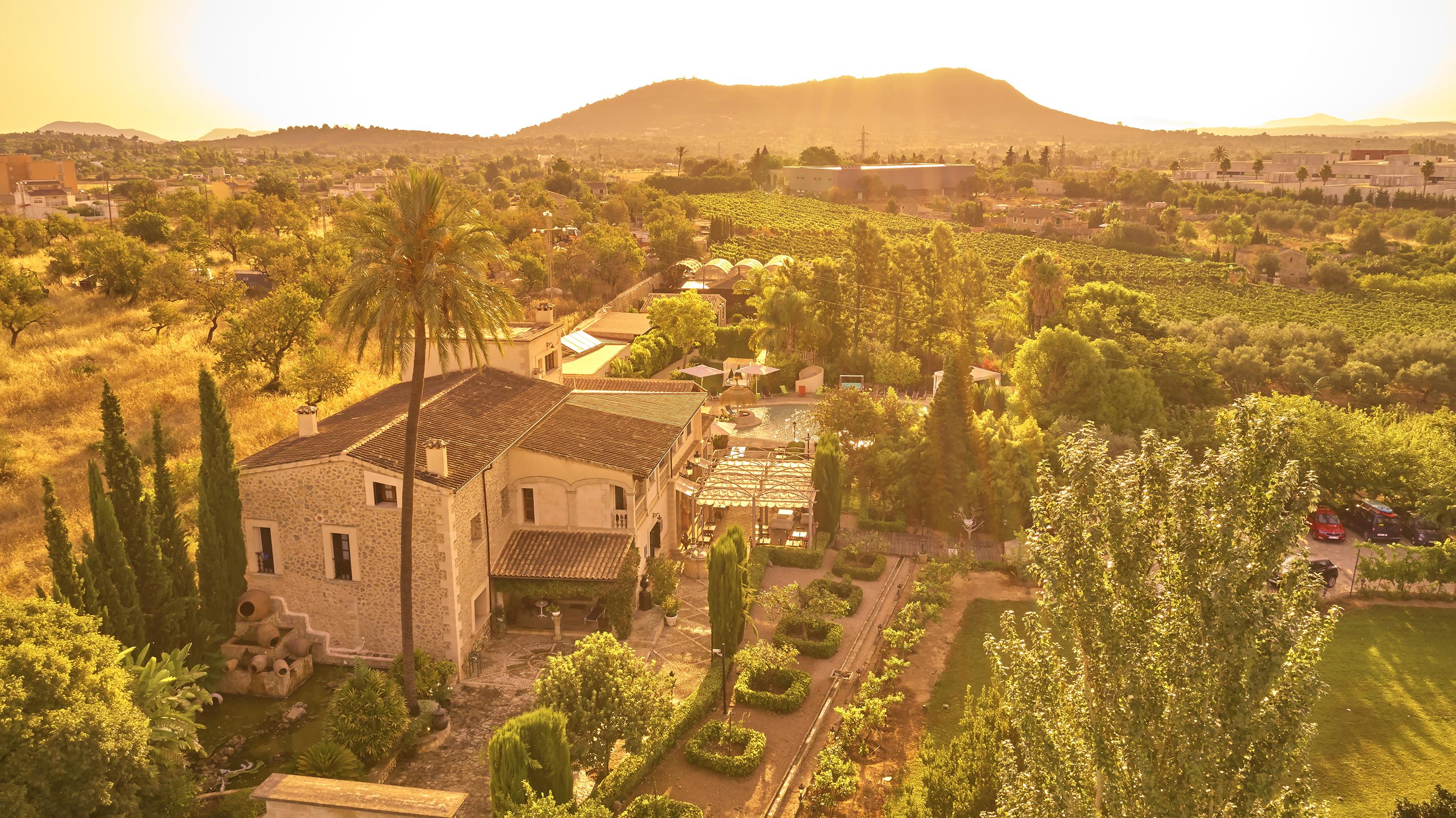 Agroturismo Sa Vinya Des Convent Farm stay